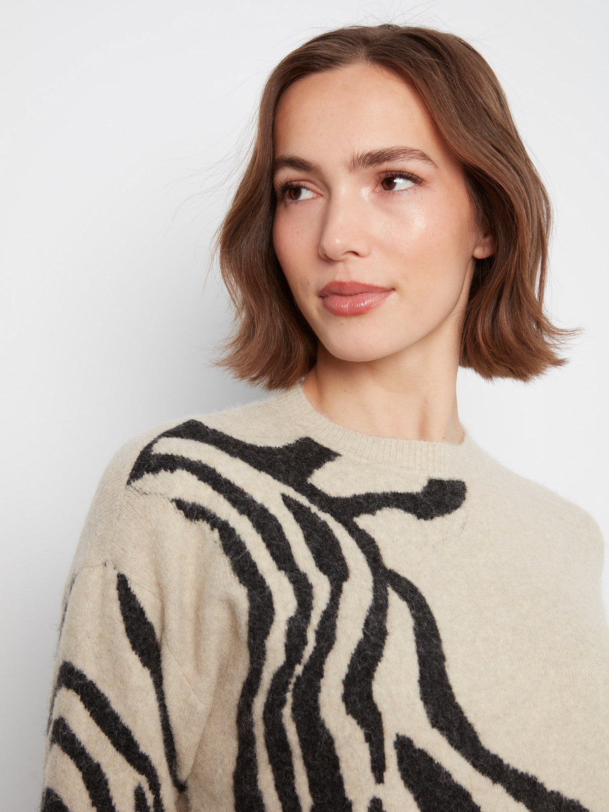 Jacquard Crew Neck Sweater - Zebra